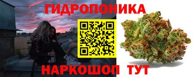 крисы Гусиноозёрск