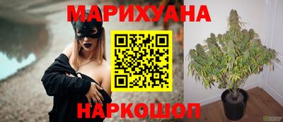ALPHA PVP Гусев