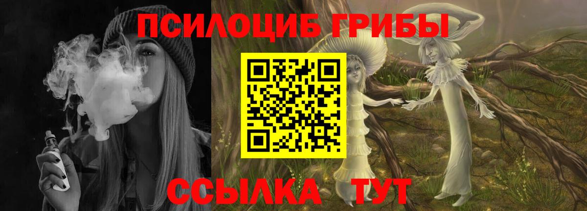 Псилоцибиновые грибы прущие грибы Вышний Волочёк